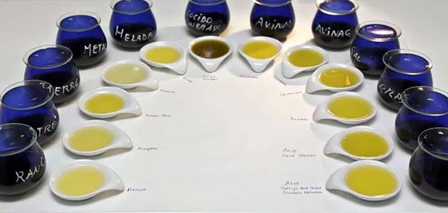 catas de aceite