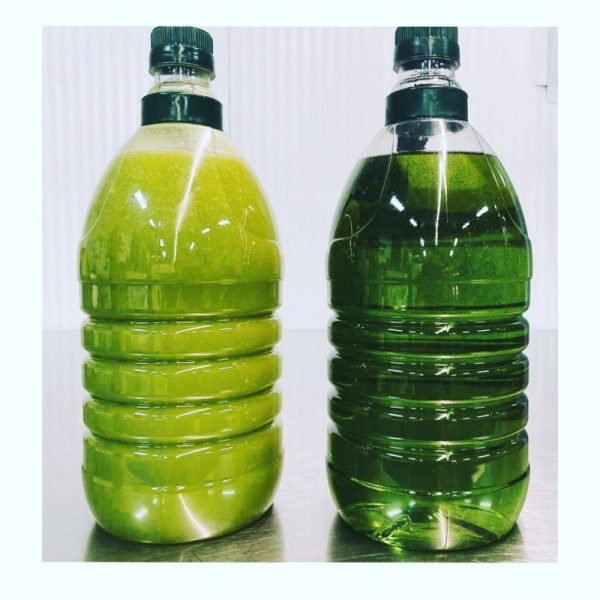 Aceite de oliva sin filtrar y filtrado Adeoliva garrafa 2 litros
