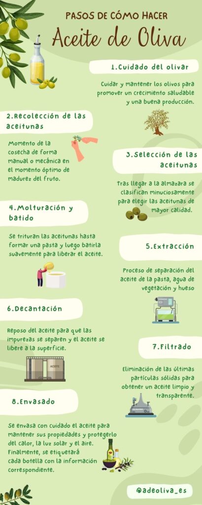 infografía de cómo se hace el aceite de oliva
