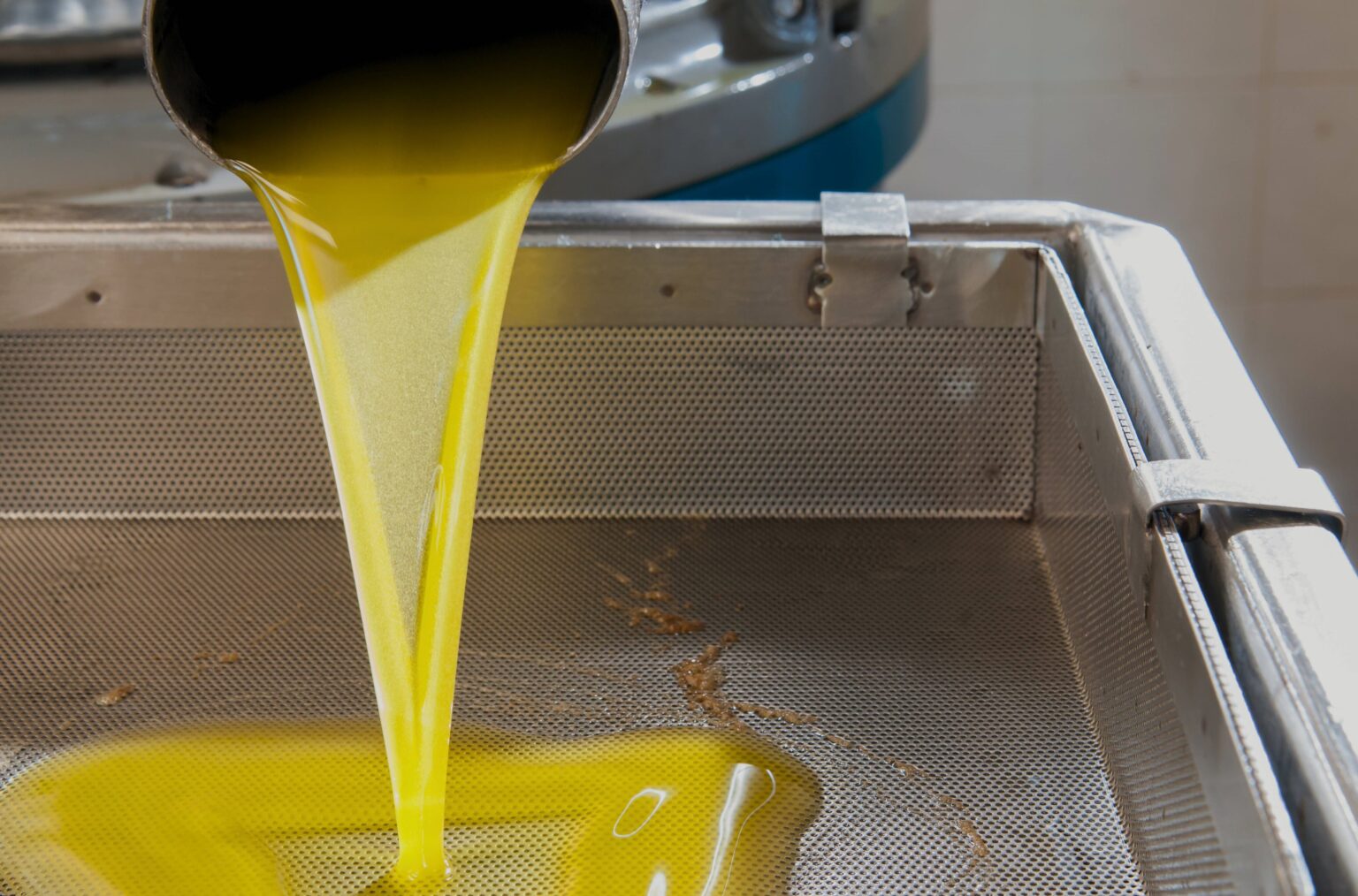 extracción de aceite para su elaboración