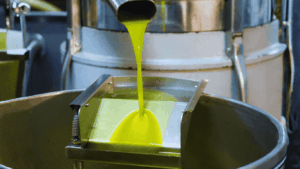 10 Consejos para comprar Aceite de Oliva Virgen Extra 9 Aceite de oliva temprano